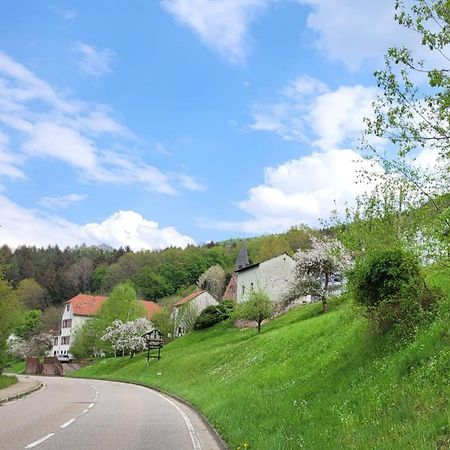 Family House Apartment Eberbach  Luaran gambar