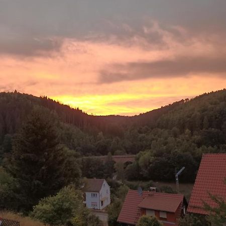 Family House Apartment Eberbach  Luaran gambar