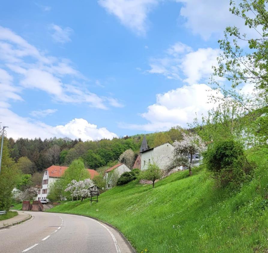 Family House Apartment Eberbach  Luaran gambar
