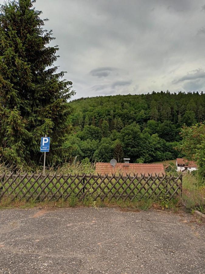 Family House Apartment Eberbach  Luaran gambar