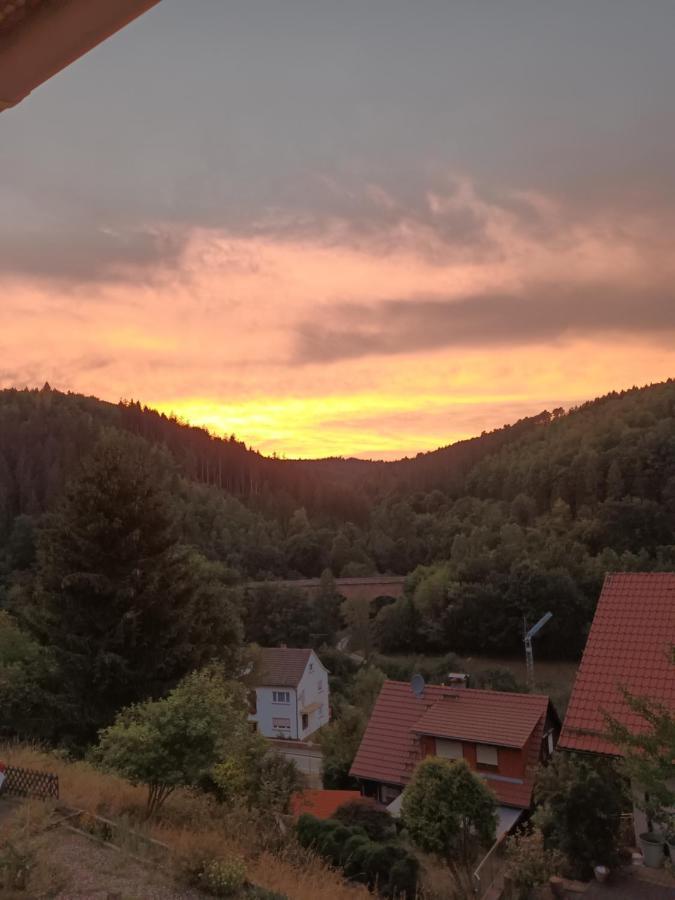 Family House Apartment Eberbach  Luaran gambar